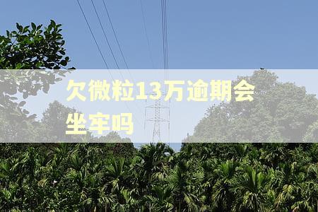 欠微粒13万逾期会坐牢吗
