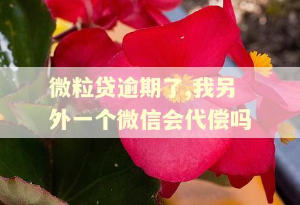 微粒贷逾期了,我另外一个微信会代偿吗