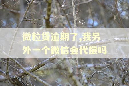 微粒贷逾期了,我另外一个微信会代偿吗