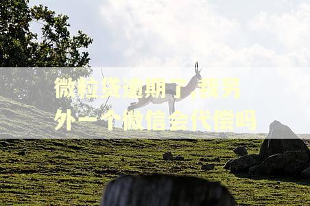 微粒贷逾期了,我另外一个微信会代偿吗