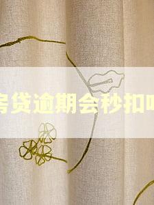 房贷逾期会秒扣吗