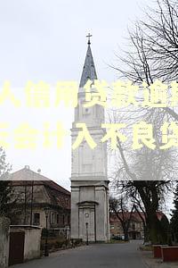 个人信用贷款逾期30天会计入不良贷款吗