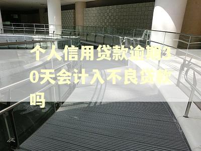 个人信用贷款逾期30天会计入不良贷款吗