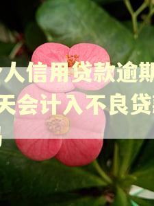 个人信用贷款逾期30天会计入不良贷款吗