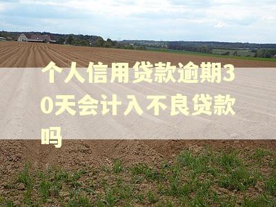 个人信用贷款逾期30天会计入不良贷款吗
