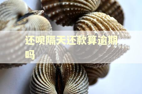 还呗隔天还款算逾期吗