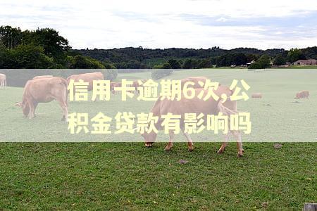 信用卡逾期6次,公积金贷款有影响吗