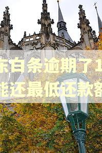 京东白条逾期了1天还能还最低还款额吗