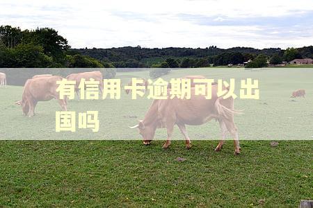有信用卡逾期可以出国吗