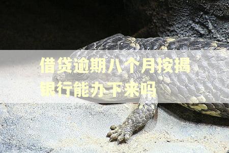 借贷逾期八个月按揭银行能办下来吗