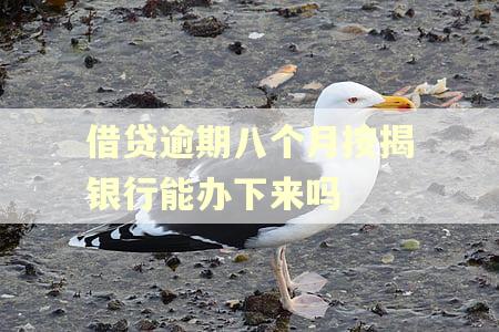 借贷逾期八个月按揭银行能办下来吗
