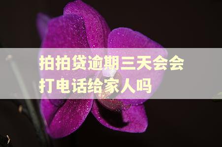 拍拍贷逾期三天会会打电话给家人吗