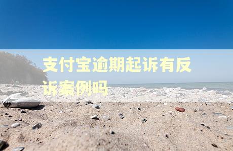支付宝逾期起诉有反诉案例吗