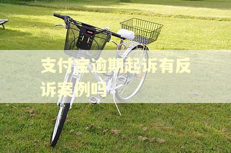 支付宝逾期起诉有反诉案例吗 支付宝逾期起诉有反诉案例吗