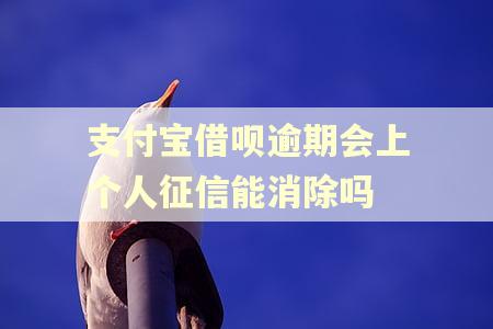 支付宝借呗逾期会上个人征信能消除吗