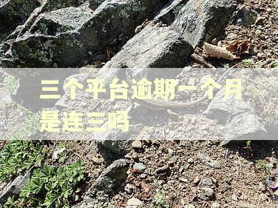 三个平台逾期一个月是连三吗