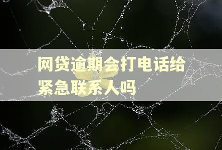 网贷逾期会打电话给紧急联系人吗