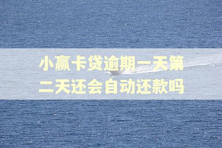 小赢卡贷逾期一天第二天还会自动还款吗