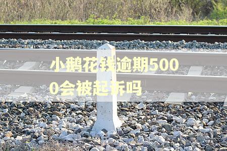小鹅花钱逾期5000会被起诉吗