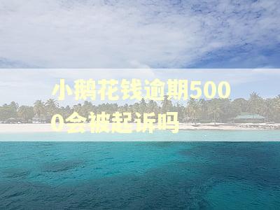 小鹅花钱逾期5000会被起诉吗