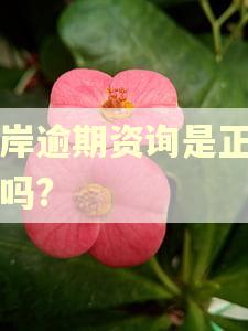 华岸逾期资询是正规的吗?