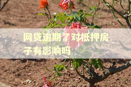 网贷逾期了对抵押房子有影响吗