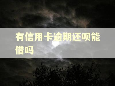 有信用卡逾期还呗能借吗