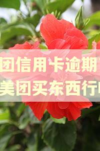 美团信用卡逾期了,在美团买东西行吗