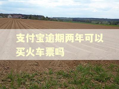 支付宝逾期两年可以买火车票吗