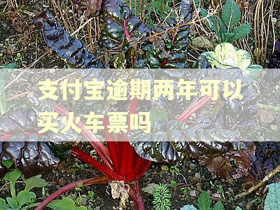 支付宝逾期两年可以买火车票吗
