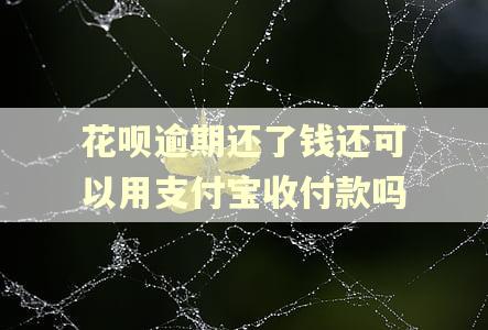 花呗逾期还了钱还可以用支付宝收付款吗