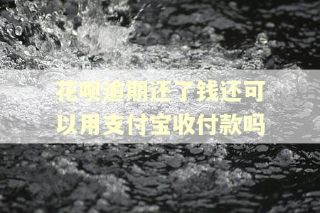 花呗逾期还了钱还可以用支付宝收付款吗