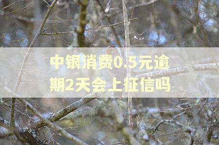 中银消费0.5元逾期2天会上征信吗