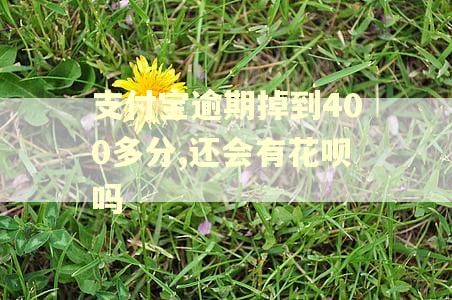 支付宝逾期掉到400多分,还会有花呗吗
