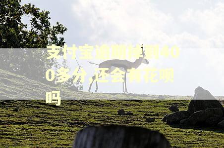 支付宝逾期掉到400多分,还会有花呗吗