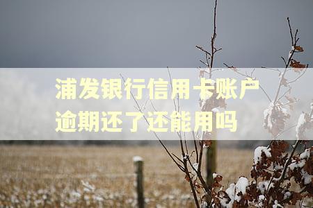 浦发银行信用卡账户逾期还了还能用吗
