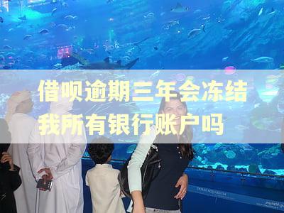 借呗逾期三年会冻结我所有银行账户吗