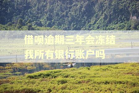 借呗逾期三年会冻结我所有银行账户吗