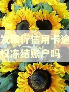 浦发银行信用卡逾期有权冻结账户吗