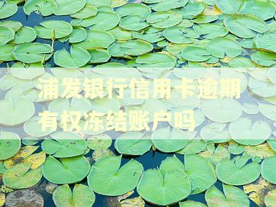 浦发银行信用卡逾期有权冻结账户吗