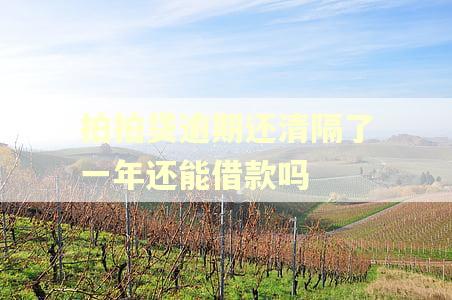 拍拍贷逾期还清隔了一年还能借款吗