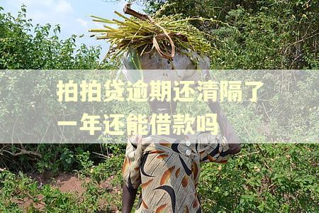 拍拍贷逾期还清隔了一年还能借款吗