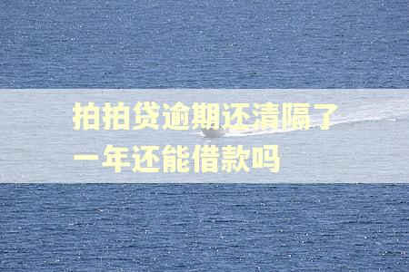拍拍贷逾期还清隔了一年还能借款吗