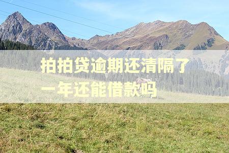 拍拍贷逾期还清隔了一年还能借款吗 拍拍贷逾期还清隔了一年还能借款吗