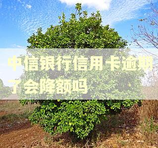 中信银行信用卡逾期了会降额吗