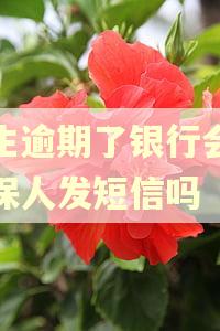 发生逾期了银行会给担保人发短信吗