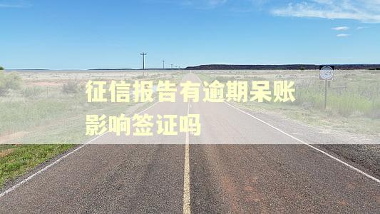 征信报告有逾期呆账影响签证吗 征信报告有逾期呆账影响签证吗