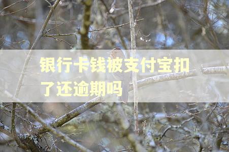 银行卡钱被支付宝扣了还逾期吗