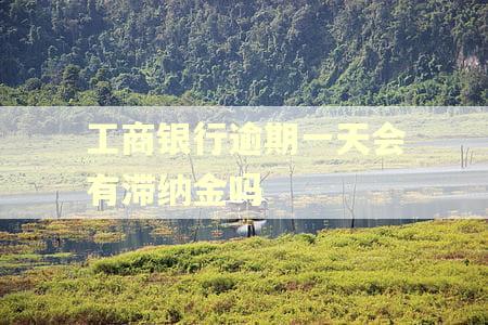 工商银行逾期一天会有滞纳金吗 工商银行逾期一天会有滞纳金吗