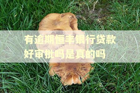 有逾期恒丰银行贷款好审批吗是真的吗